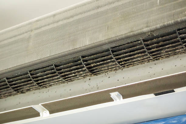 Best Air Quality Test  in Elk Grove, CA